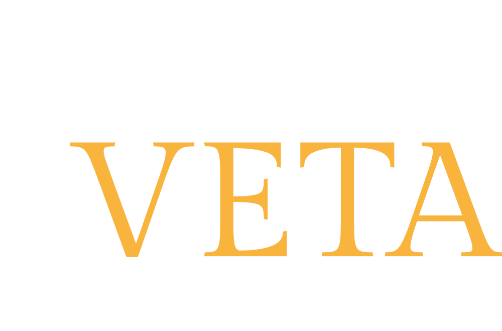 LOGO Vita Veta Boutique